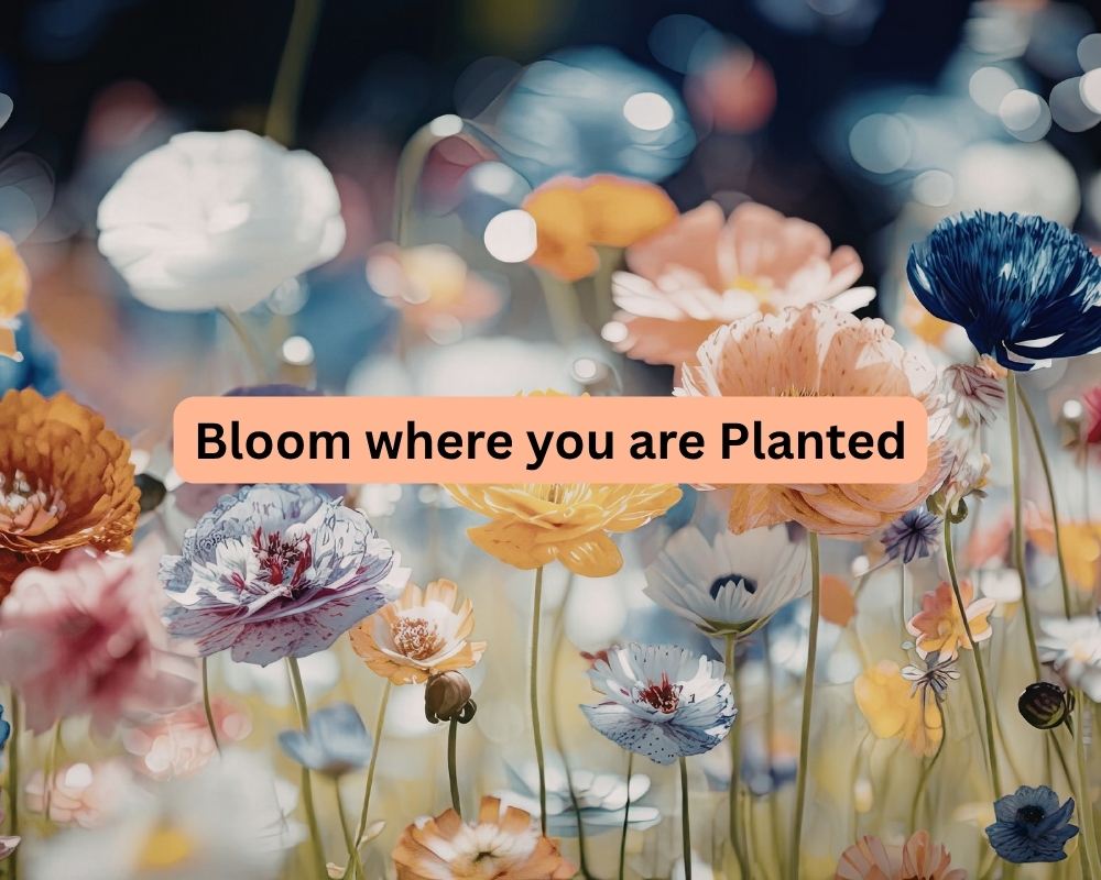Bloom… Where You are Planted