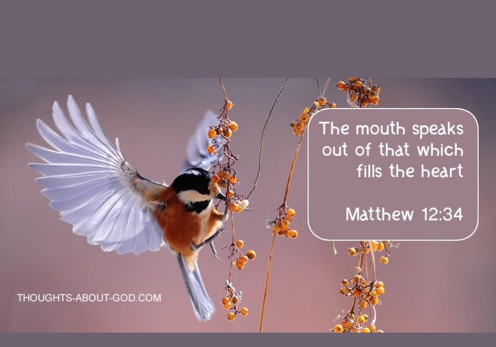 The Words of Our Mouth