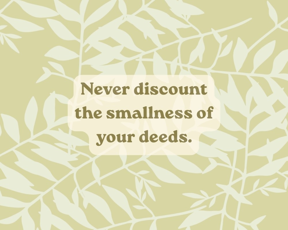 A Tiny Seed, A Tiny Deed