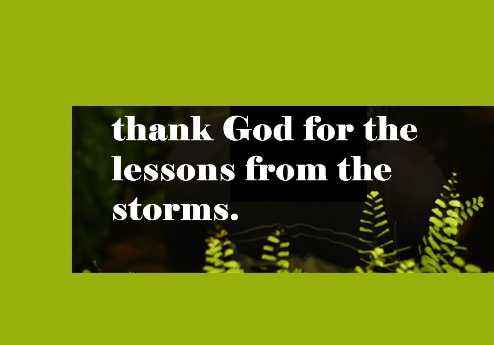 Lessons from the Wind