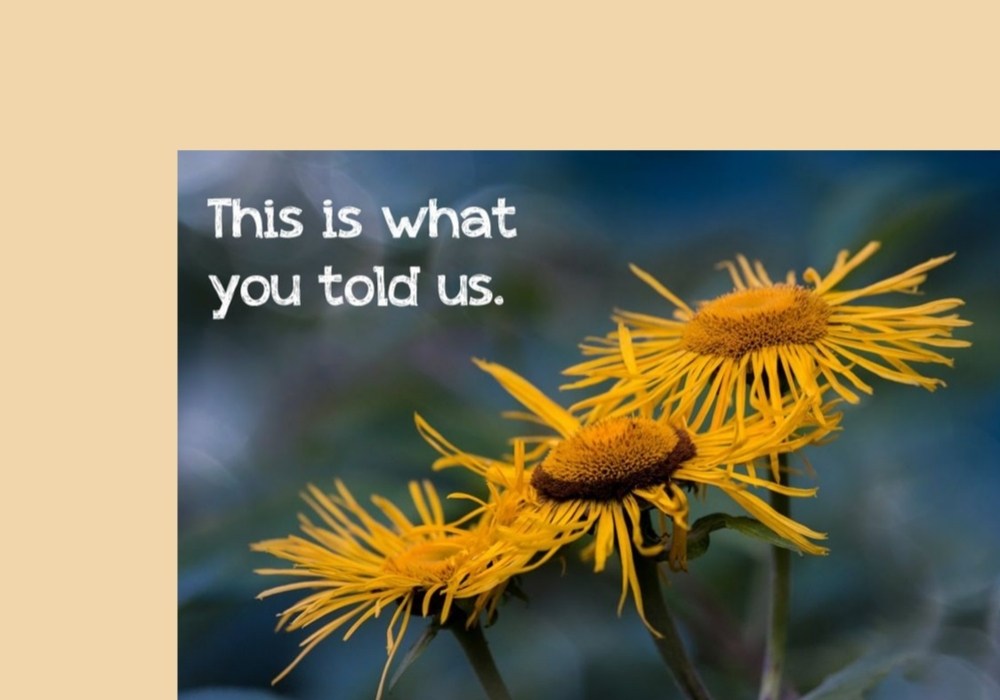 We Asked: What is Special about Your Mother?
