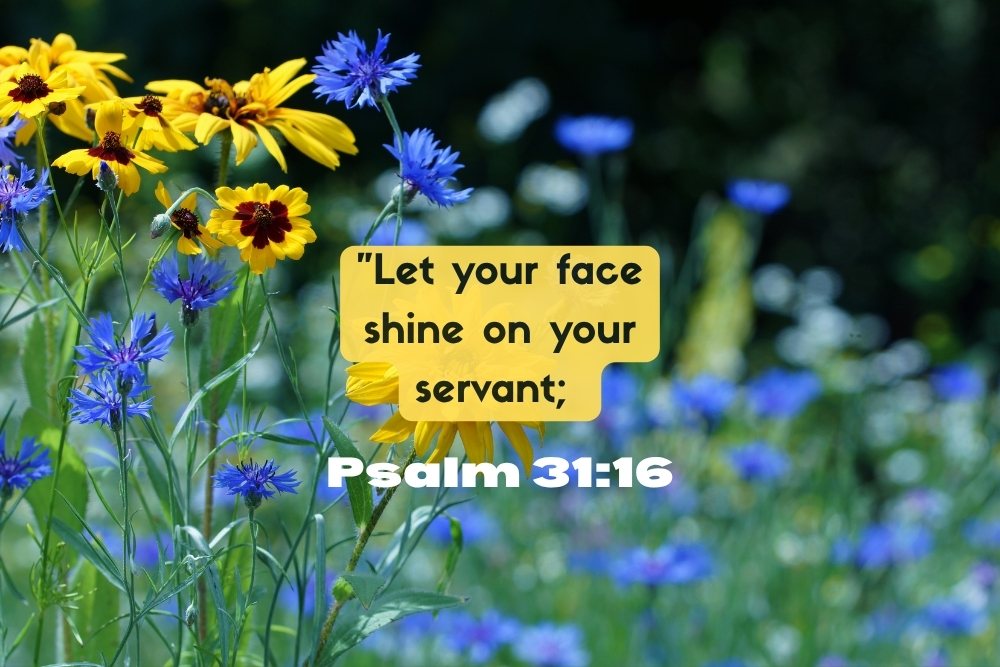 The Light of God’s Face