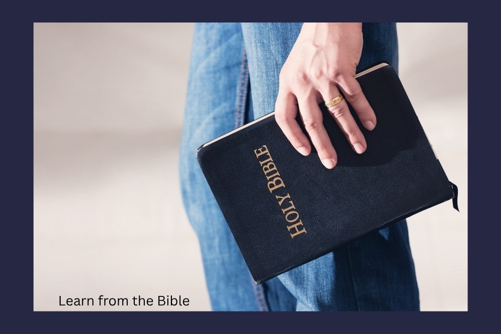 Explore the Bible