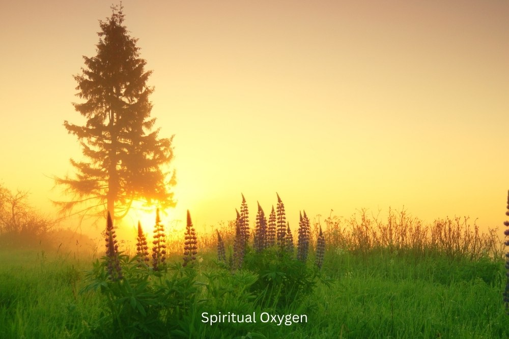 Spiritual Oxygen: Are You Getting it?
