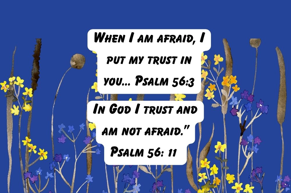 The Paradox of Trust