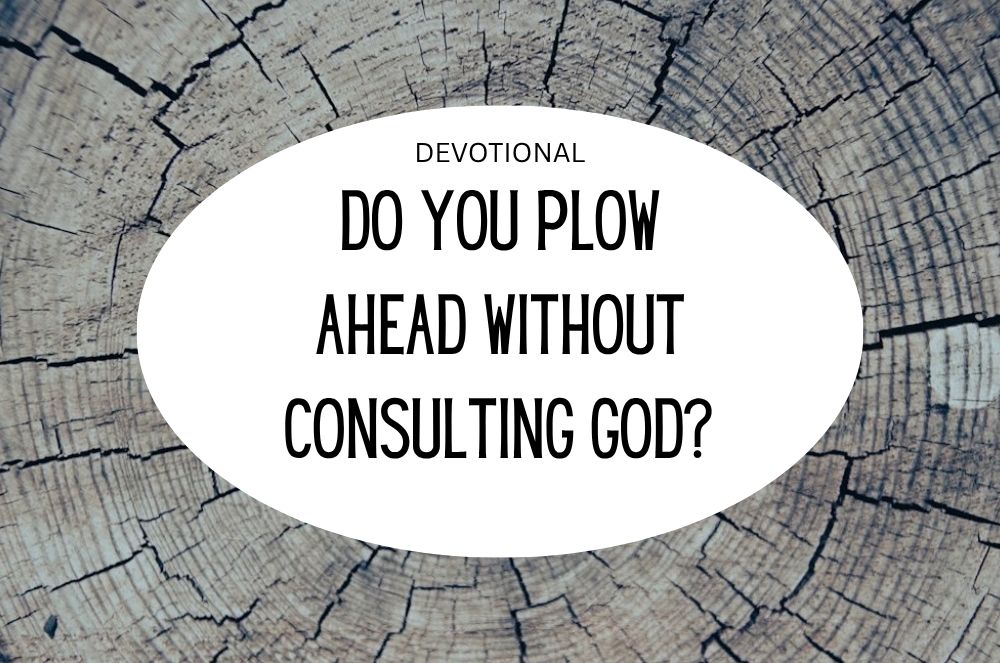 Pray Before You Leap