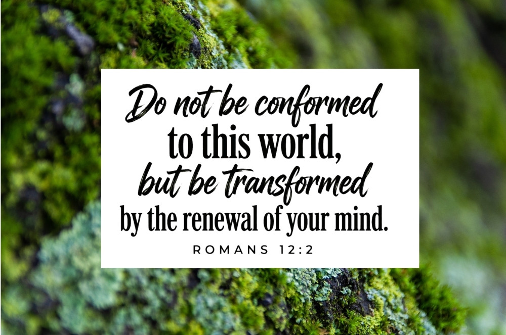 Conformity