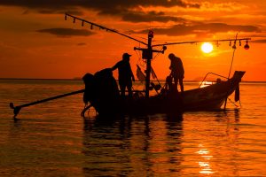 fishing boat sunset
